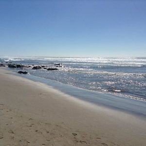 Meet your Posher, Shawna